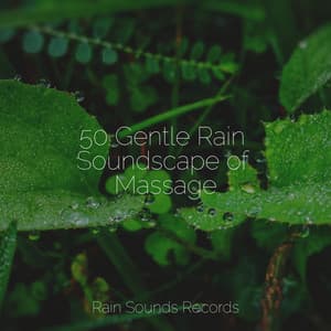 50 Gentle Rain Soundscape of Massage - Relaxing Rain Sounds