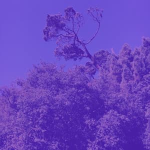 Bgm for Bhakti Yoga - Yoga Music Moments