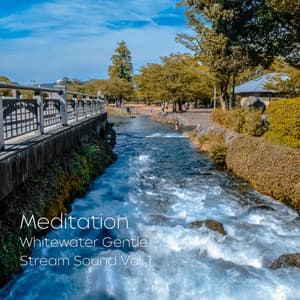 Meditation: Whitewater Gentle Stream Sound Vol. 1 - Spa Music Playlist