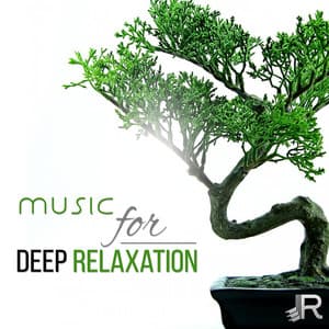 Music for Deep Relaxation: 50 Zen Tracks, Healing Meditation, Namaste Yoga, Pure Spa Massage Music, Reiki Treatment, Serenity - Total Relax Zone