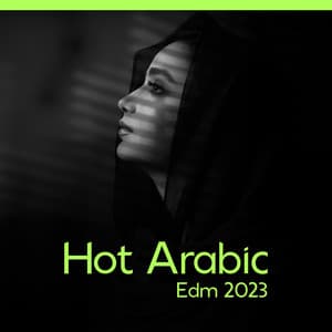 Hot Arabic Edm 2023 – Oriental Melodic Mix: Lofi Beats - Edm 2023