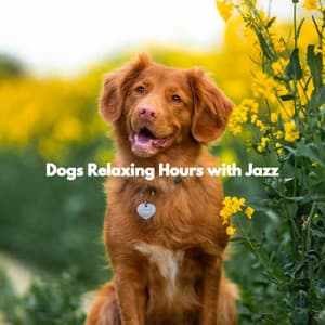 Dogs Relaxing Hours with Jazz - Jazz Rilassante Retro