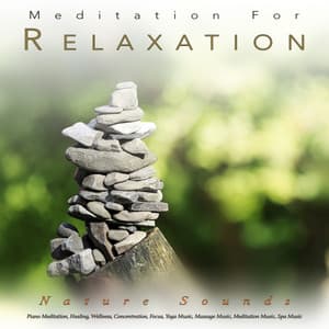Meditation and Relaxation: Piano and Nature Sounds For Meditation, Healing, Wellness, Concentration, Focus, Yoga Music, Massage Music, Meditation Music, Spa Music and Relaxation Music - Meditation Music For Sleep