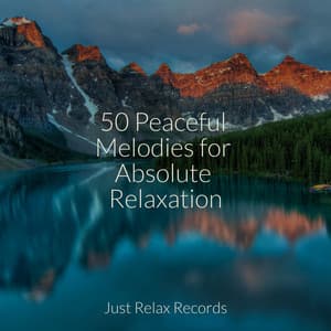 50 Peaceful Melodies for Absolute Relaxation - Schlaflieder Für Kinder