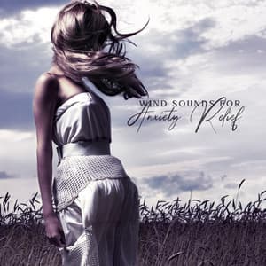 Wind Sounds for Anxiety Relief - Sound of Nature Library
