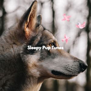 Sleepy Pup Tunes - Relajado Musica Relajante para Perros