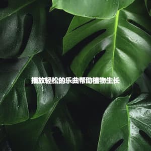 播放轻松的乐曲帮助植物生长 - Good Morning Jazz