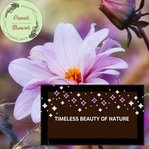 Timeless Beauty of Nature - Calm Music