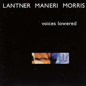 Voices Lowered - Steve Lantner