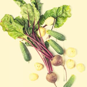 Music for Fresh Cooking at Home - Atmospheric No Drums Jazz - Chill Music for Reading