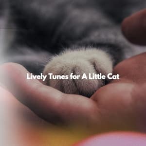 Lively Tunes for A Little Cat - Cafe Musique Francaise