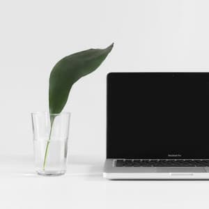 Office Background Music - Office Background Music