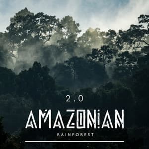 Amazonian Rainforest 2.0 - Forest Hills Music Universe