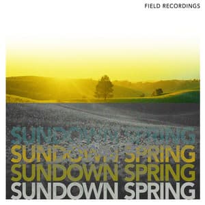 Sundown Spring - Field Recordings