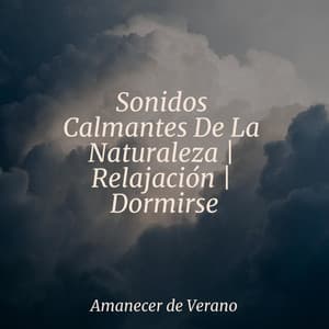 Sonidos Calmantes De La Naturaleza | Relajación | Dormirse - Dulces Sueños