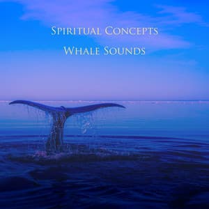 Whale Sounds - Spiritual Concepts
