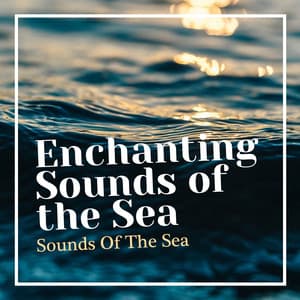 Enchanting Sounds of the Sea - Sounds Of The Sea