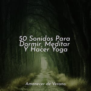 50 Sonidos Para Dormir, Meditar Y Hacer Yoga - Yoga Sounds