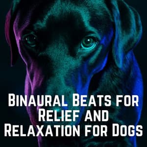 Binaural Beats for Relief and Relaxation for Dogs - Binaural Beat