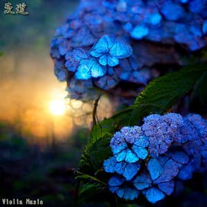 茨道 - Violin Music