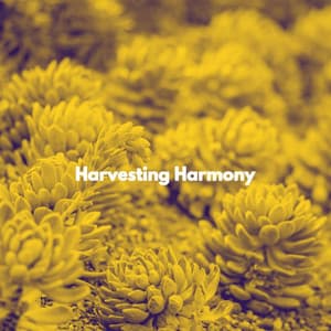 Harvesting Harmony - Random Jazz