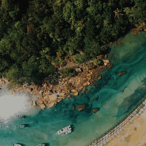 Stream Serenade: Aquatic Harmony Waterscape - Nature Sound Series