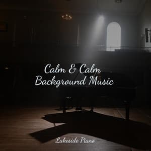 Calm & Calm Background Music - SD