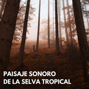 Paisaje Sonoro De La Selva Tropical - Naturaleza y selección de la selva tropical colectiva