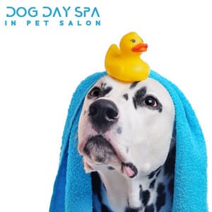 Dog Day Spa - In Pet Salon, Relaxing Tracks for Dog Anxiety. Pet Therapy, Animal Reiki - Animal Melody Wizard