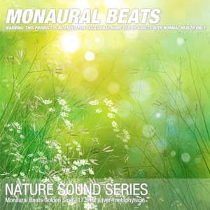 Monaural Beats Golden Sine 317.8 Hz - Binaural Beats