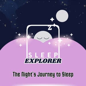 The Night’s Journey to Sleep - Sleep Explorer