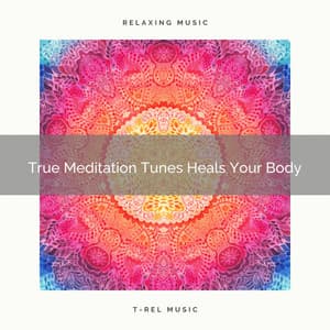 True Meditation Tunes Heals Your Body - Perfect Meditation