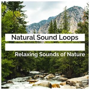 Natural Sound Loops - Relaxing Sounds Of Nature