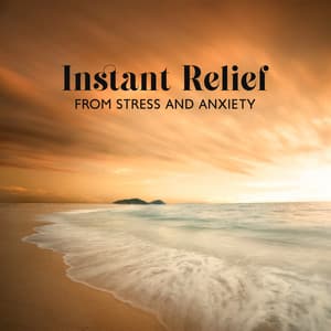 Instant Relief from Stress and Anxiety: Birds Singing in the Forest, Deep Healing Music for The Body - Calm Singing Birds Zone