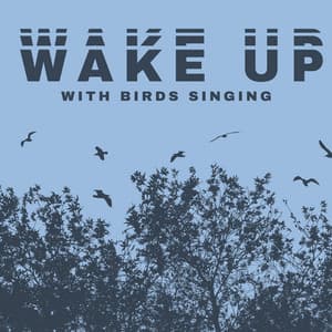 Wake Up with Birds Singing. Upbeat Relaxing Music. Surrounding Nature, Beautiful New Age Sounds - Bird Song Group