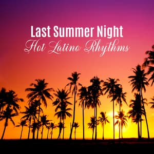 Last Summer Night: Hot Latino Rhythms - Cuban Latin Collection