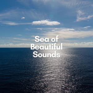 Sea of Beautiful Sounds - Calming Ocean