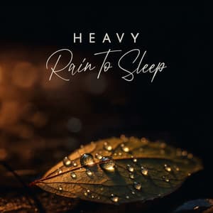 Heavy Rain To Sleep - Rain Sounds XLE Library
