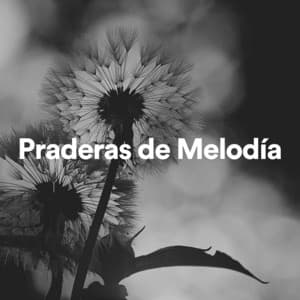 Praderas de Melodía - Sonidos de la Naturaleza Relajacion