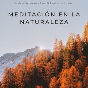 Meditación En La Naturaleza: Sonidos Relajantes Para El Equilibrio Interior - Grabaciones relajantes de la Naturaleza