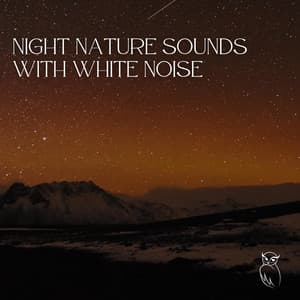 Night Nature Sounds with White Noise: Soft Crickets, Owls, Water & Rain, Loopable - Nature Collective