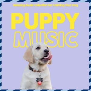 Puppy - Relaxing Music Collection for Calming Your Dog - Relaxmydog