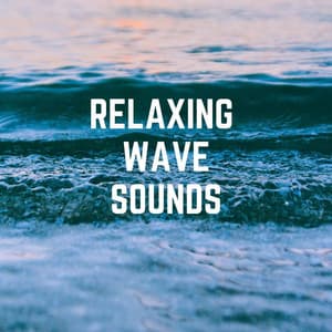 Relaxing Wave Sounds at Shaldon Beach - Wellbeing Soundscapes