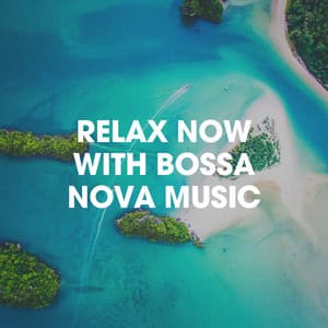 Relax Now With Bossa Nova Music - Bossa Chill Out