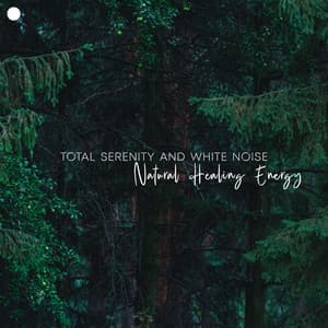 Total Serenity and White Noise: Natural Healing Energy - Natural Zen Meditation White Noise