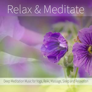 Relax & Meditate: Deep Meditation Music for Yoga, Reiki, Massage, Sleep and Relaxation - Spa Music Relaxation
