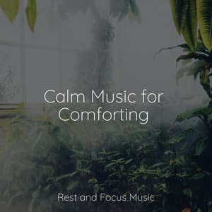 Calm Music for Comforting - Deep Focus