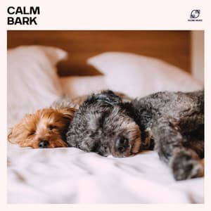 Calm Bark: Dog Anxiety Relief - Music for Dogs Collective