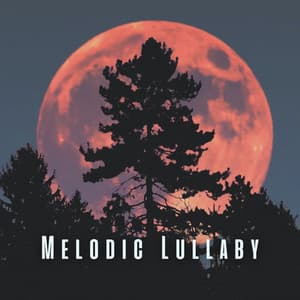 Melodic Lullaby: Meditative Piano Sounds for Easy Sleep - Piano Jazz Late Night