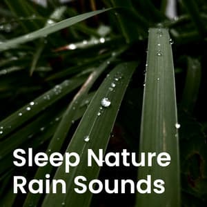 Sleep Nature Rain Sounds - Nature Sounds Artists